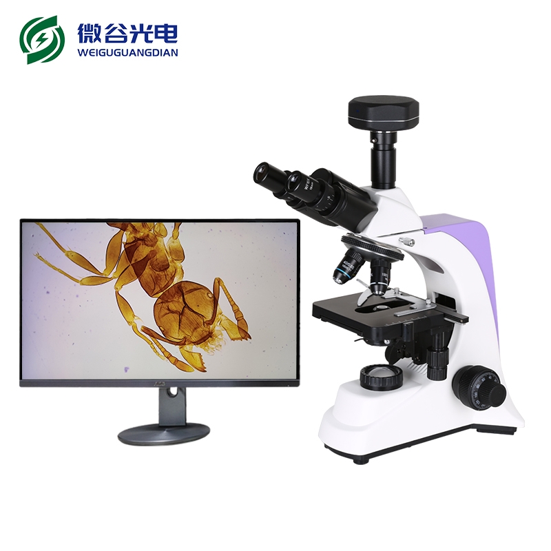 生物數碼顯微鏡的工作原理介紹